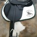 515373 Rubicon horse