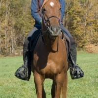 DSC_0687_2295_edited-1