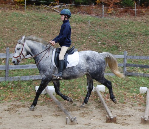 DSC_0781_4387_edited-1
