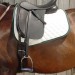 EloquenceXhorse EloquenceXhorse