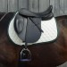 EnduroLDR_horse