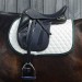 EquinoxII_horse EquinoxII_horse