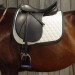 GrandGilberthorse GrandGilberthorse