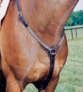 HuntingBreastplateElastic