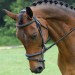 REDBARNcenterline