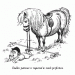 Thelwell image 3 Thelwell image 3