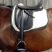 Vinicihorse