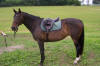 fit assessment photo 1