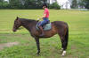 fit assessment photo 3