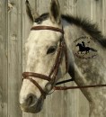 harmohn kraft event bridle