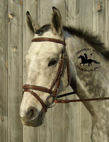 harmohn kraft event bridle