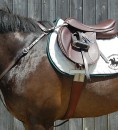 hunt breastplate copy nunn finer hunt breastplate copy nunn finer