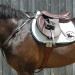 hunt breastplate copy nunn finer