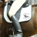 l & r ellipse rider copy