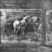 resized_PitPonyStable