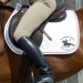 tex eventer edie copy