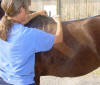 topline tracing 2