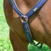 zilco breastplate zilco breastplate